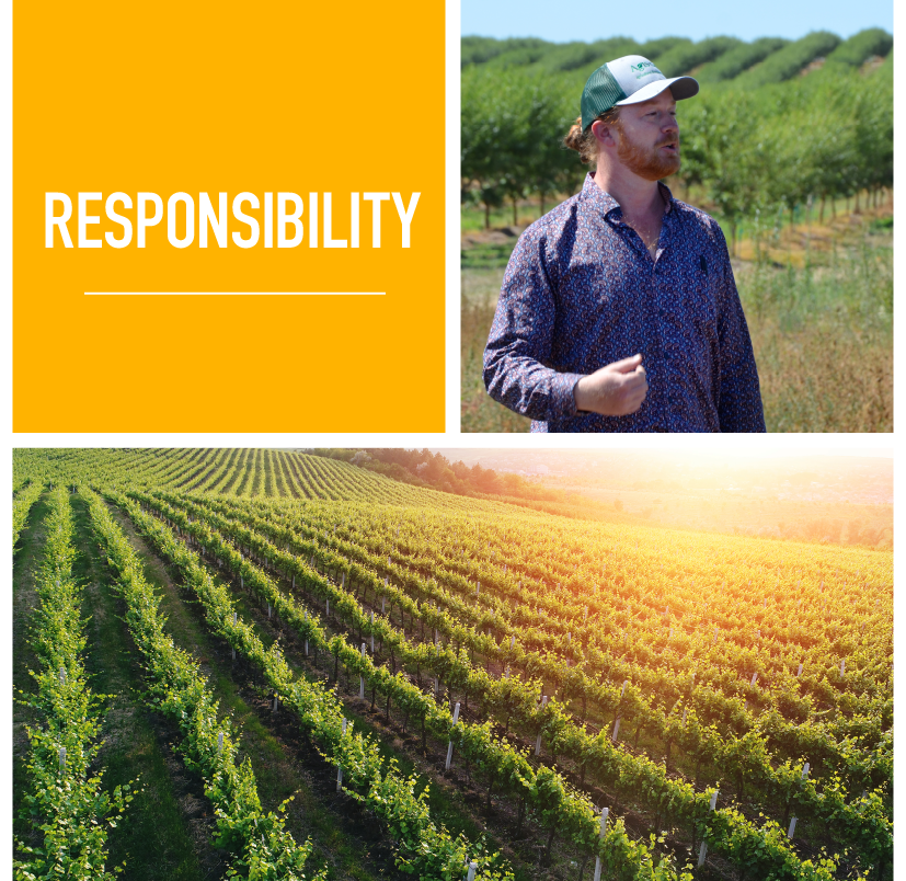 Responsibility page header.