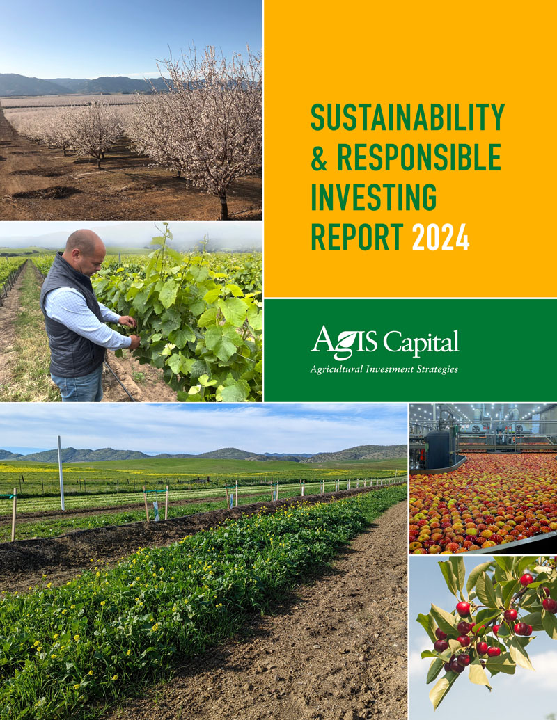 Image of SRI Report's cover.