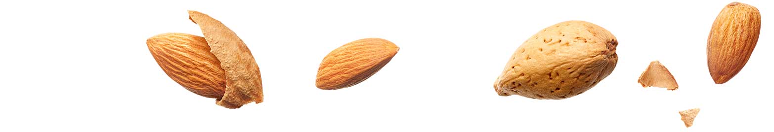 Scattered almonds on a white background.