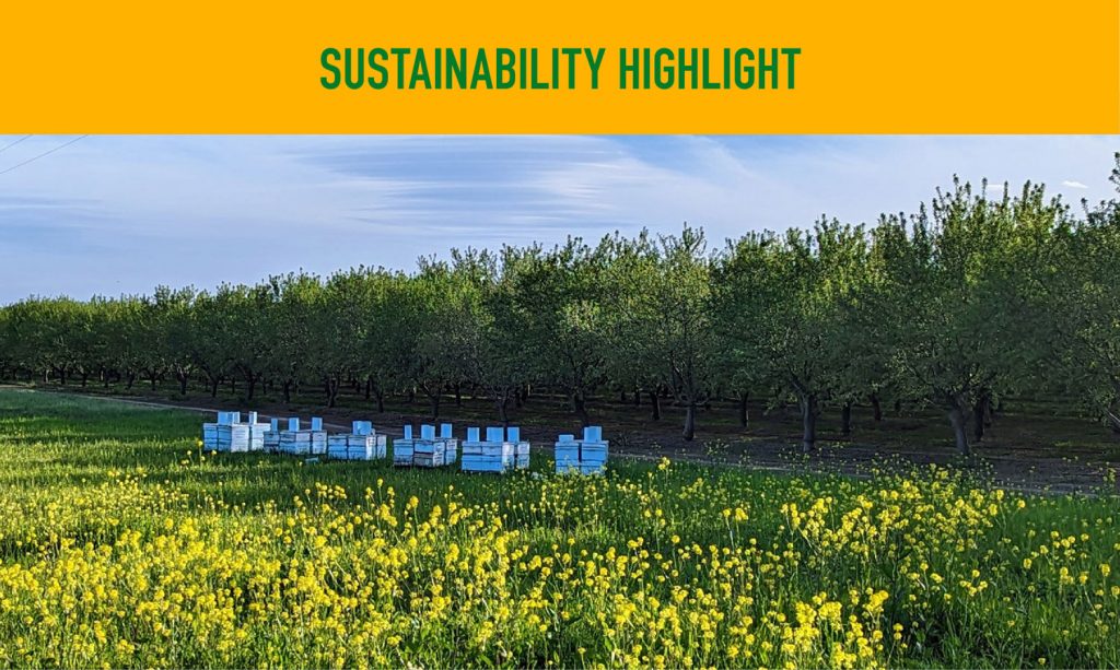 This winter and spring, the cover crops in our orchards and vineyards have been providing the farms with a multitude of benefits.