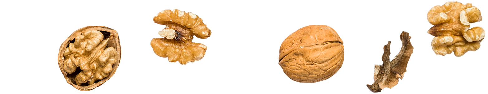 walnuts_divider_02