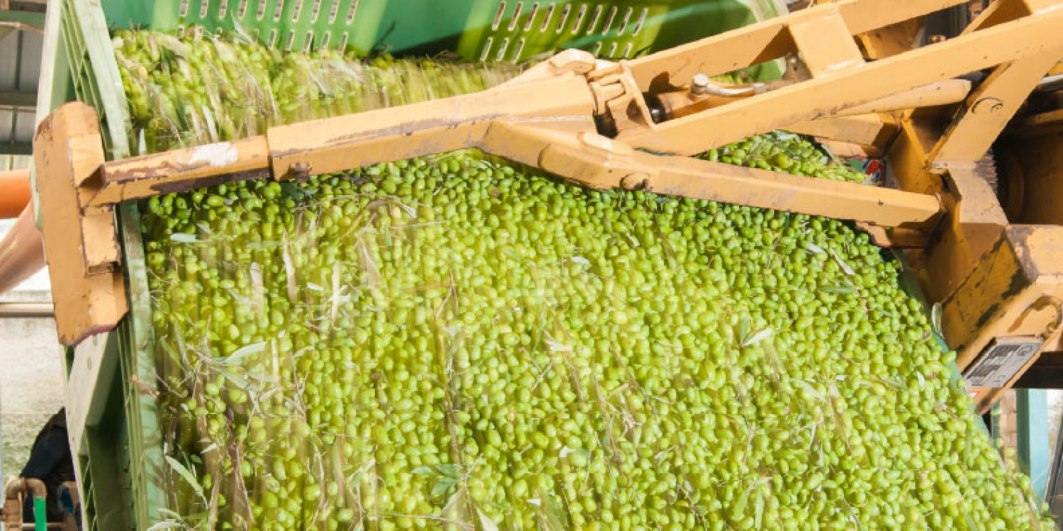 olives pouring